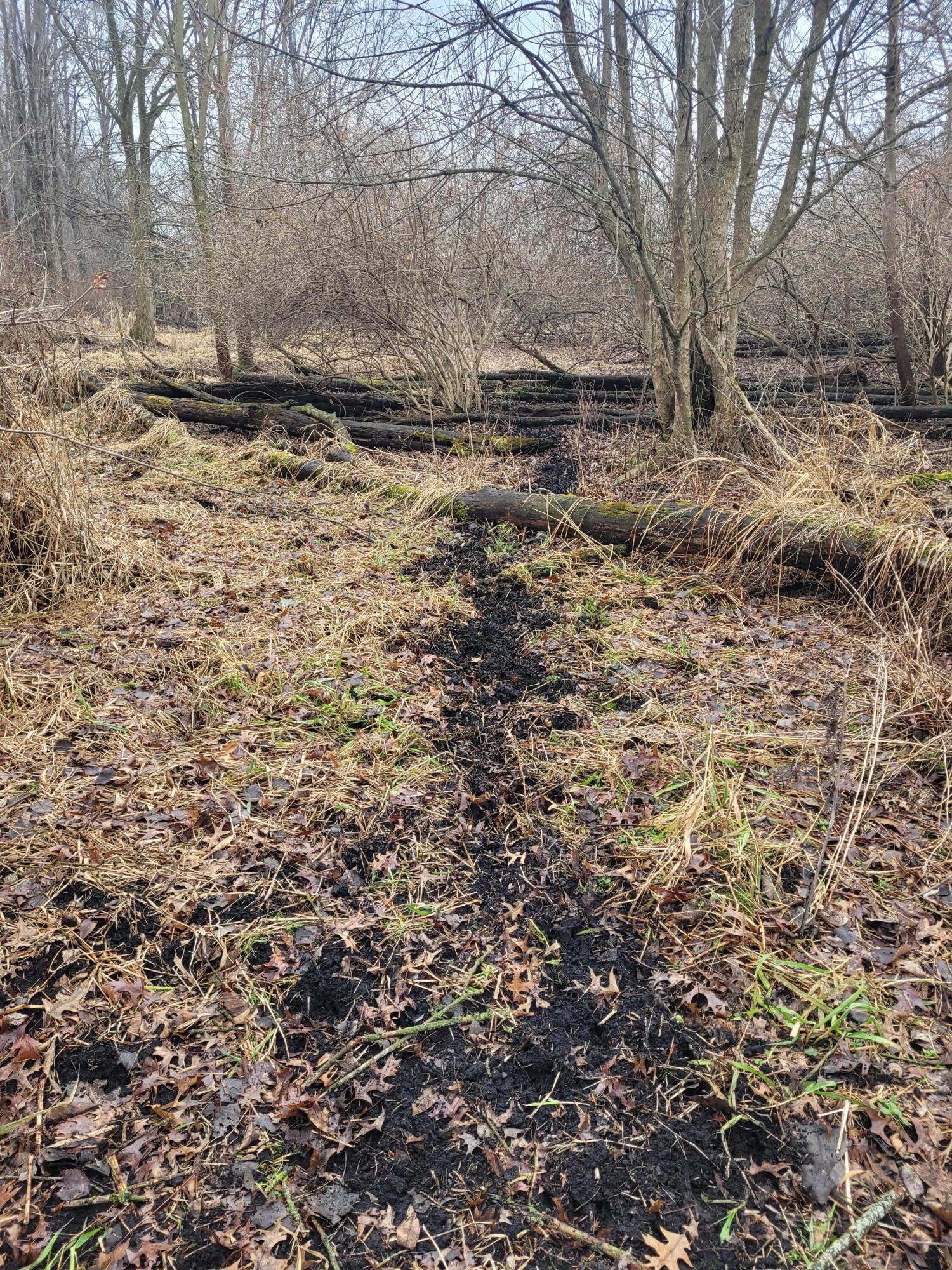 Coohon Road Colon, MI 49040 - Photo 16 of 26 20260107_151430