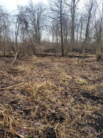 $599,000 | Coohon Road, Colon, MI 49040