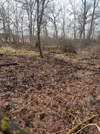 $599,000 | Coohon Road, Colon, MI 49040