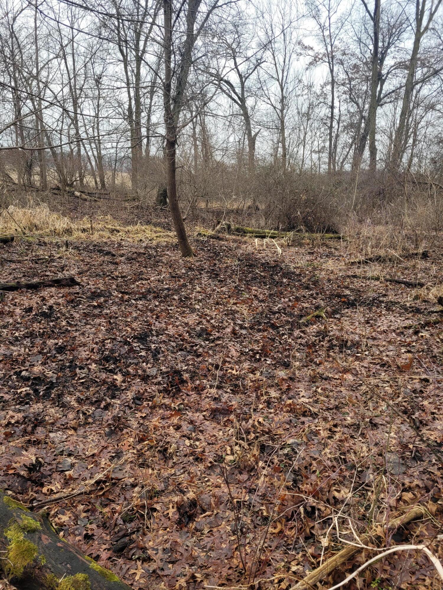 Coohon Road Colon, MI 49040 - Photo 18 of 26 20260107_151318