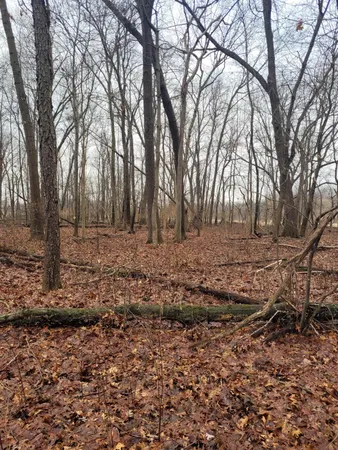 $599,000 | Coohon Road, Colon, MI 49040
