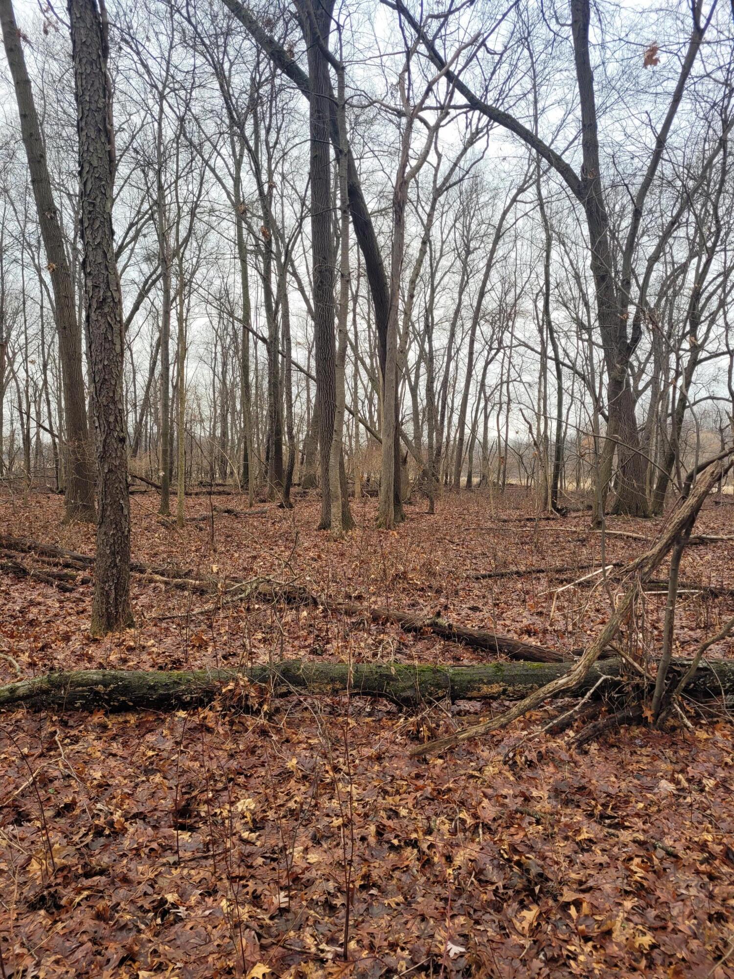 Coohon Road Colon, MI 49040 - Photo 20 of 26 20260107_151013