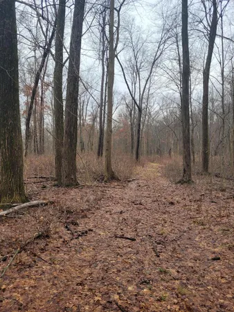 $599,000 | Coohon Road, Colon, MI 49040
