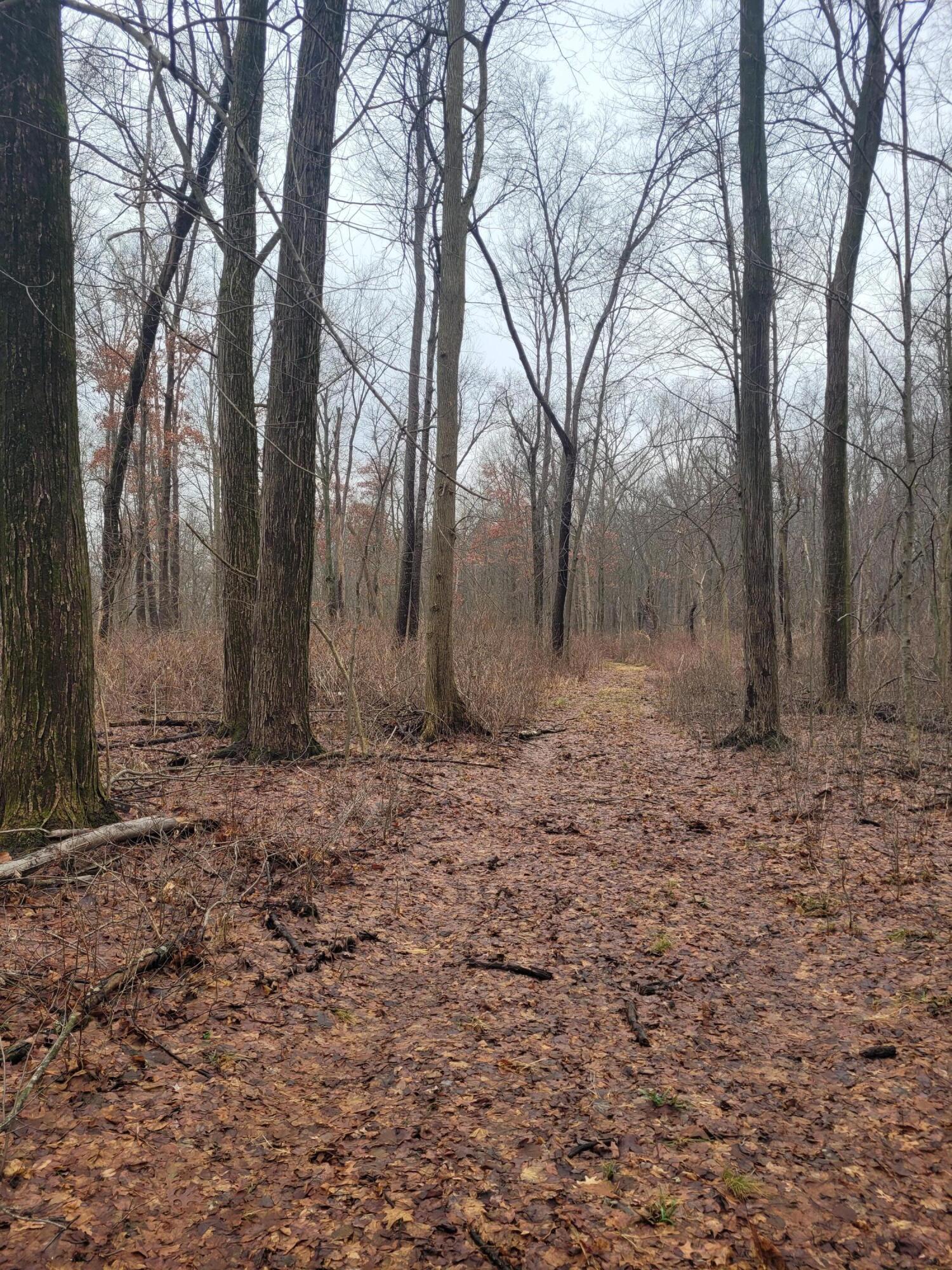 Coohon Road Colon, MI 49040 - Photo 2 of 26 20260107_144636