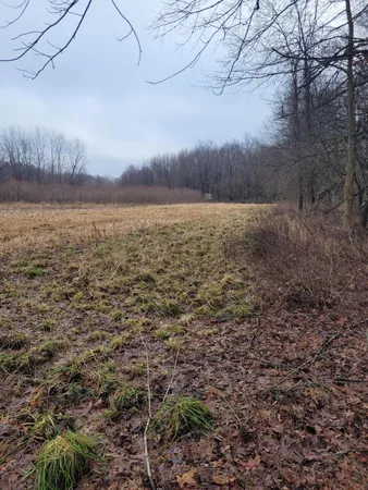 $599,000 | Coohon Road, Colon, MI 49040