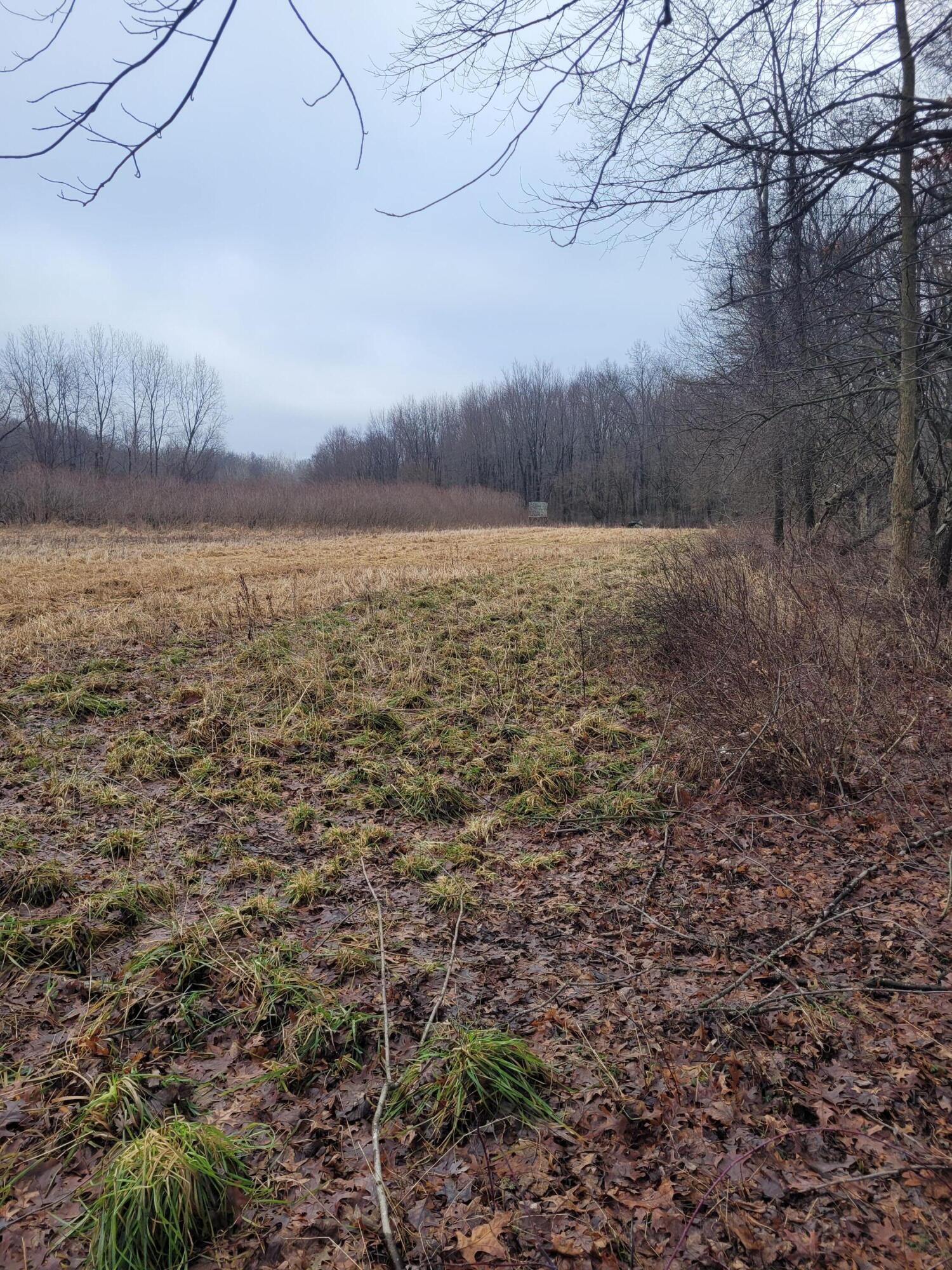 Coohon Road Colon, MI 49040 - Photo 21 of 26 20260107_150622