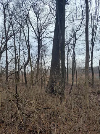 $599,000 | Coohon Road, Colon, MI 49040