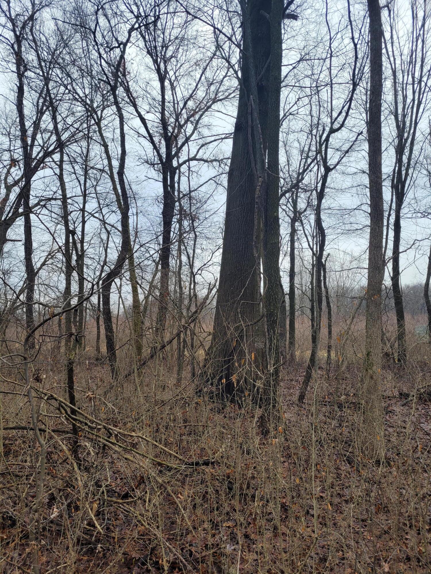 Coohon Road Colon, MI 49040 - Photo 22 of 26 20260107_150231