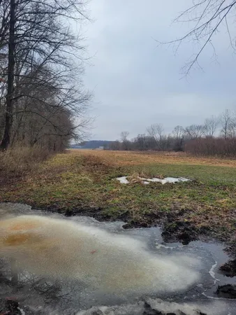 $599,000 | Coohon Road, Colon, MI 49040