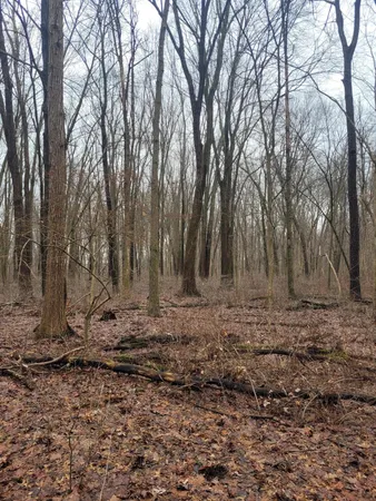 $599,000 | Coohon Road, Colon, MI 49040