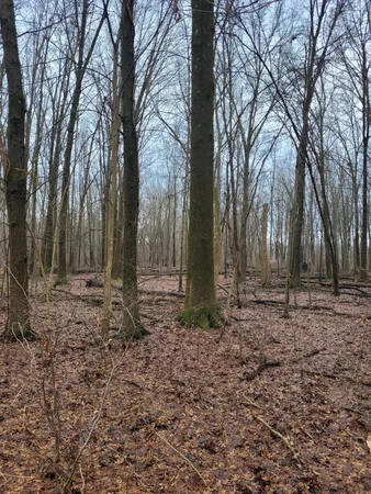 $599,000 | Coohon Road, Colon, MI 49040