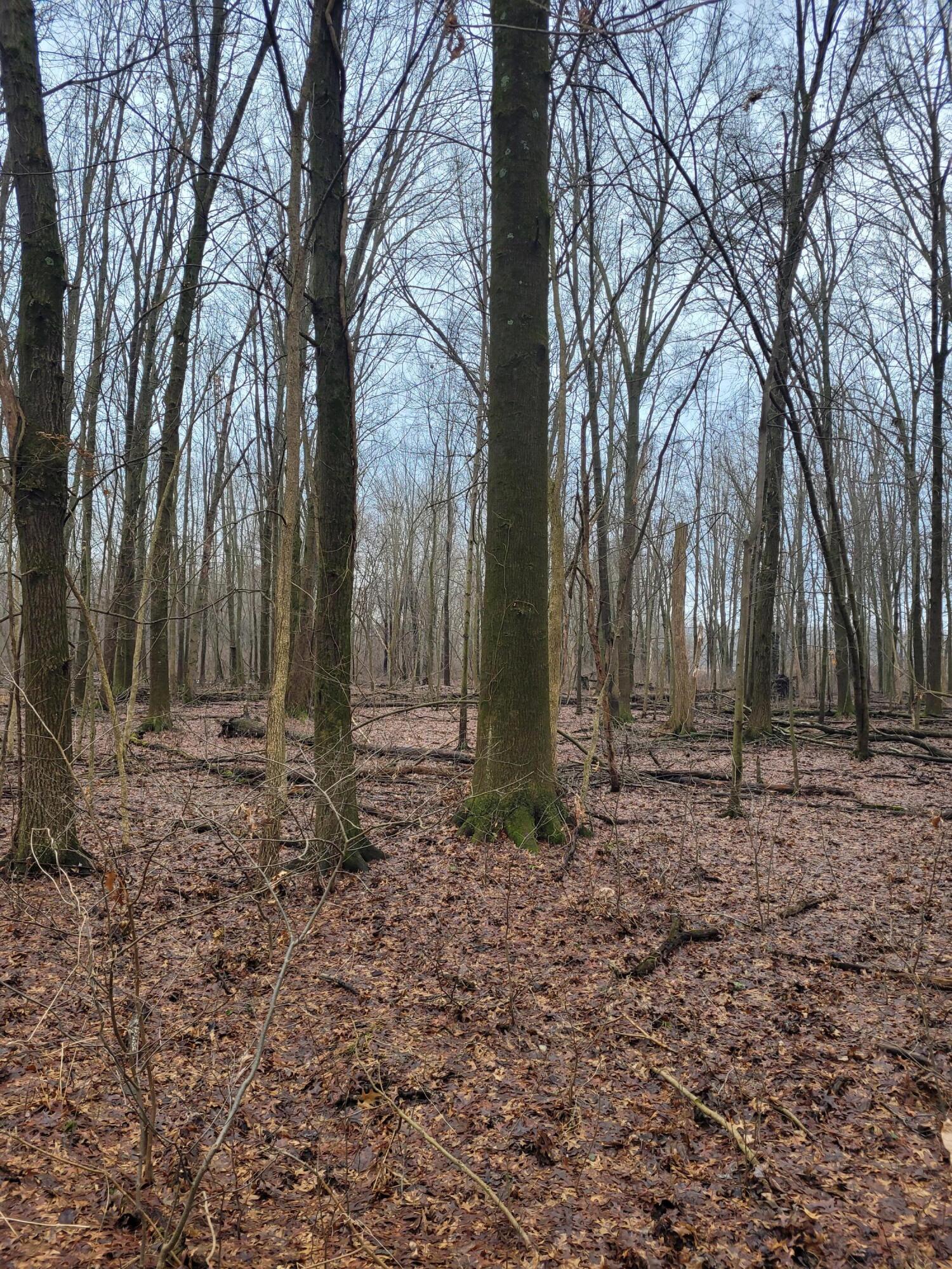 Coohon Road Colon, MI 49040 - Photo 3 of 26 20260107_144226