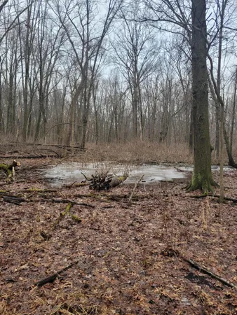 $599,000 | Coohon Road, Colon, MI 49040