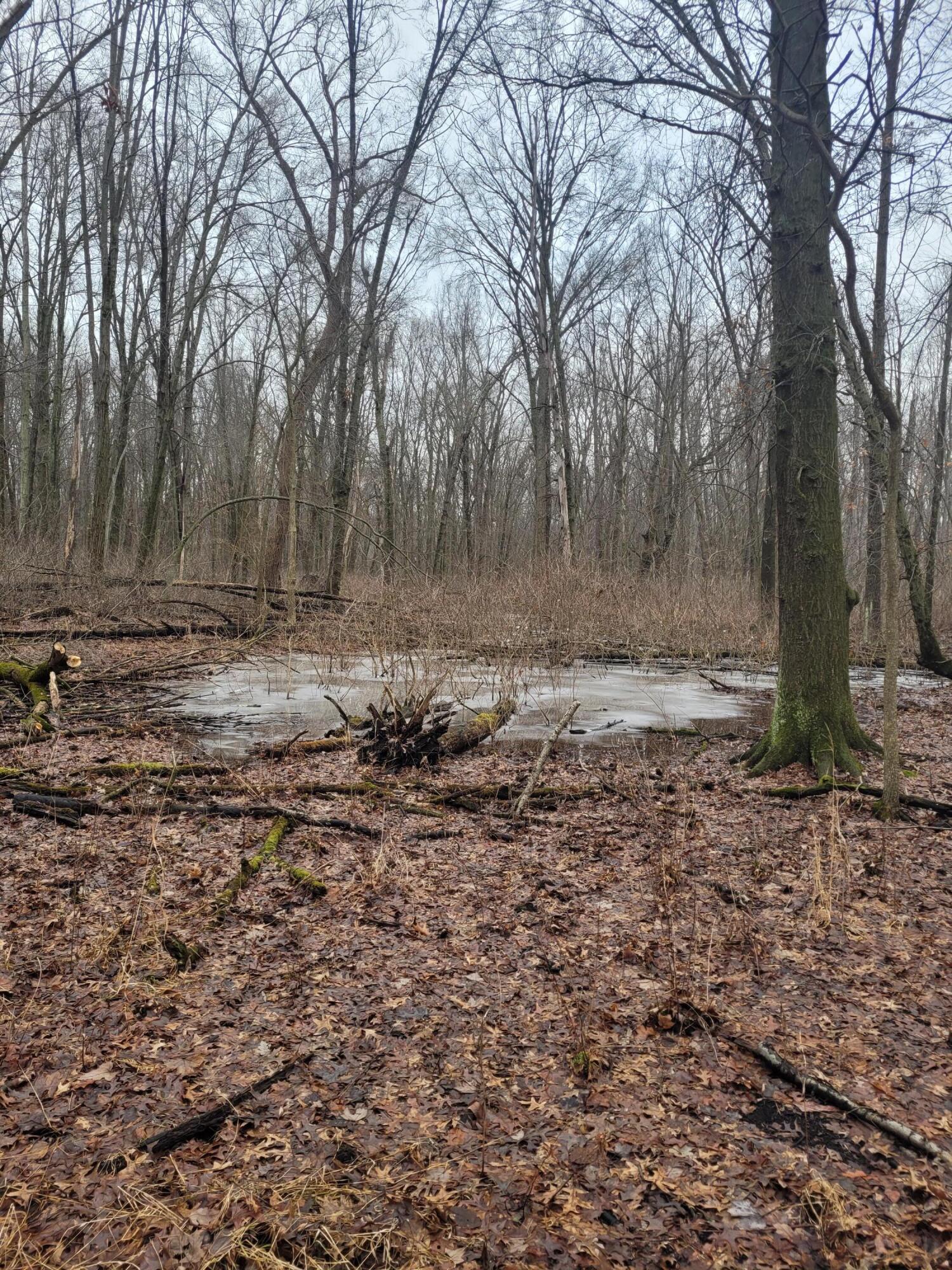 Coohon Road Colon, MI 49040 - Photo 4 of 26 20260107_144812