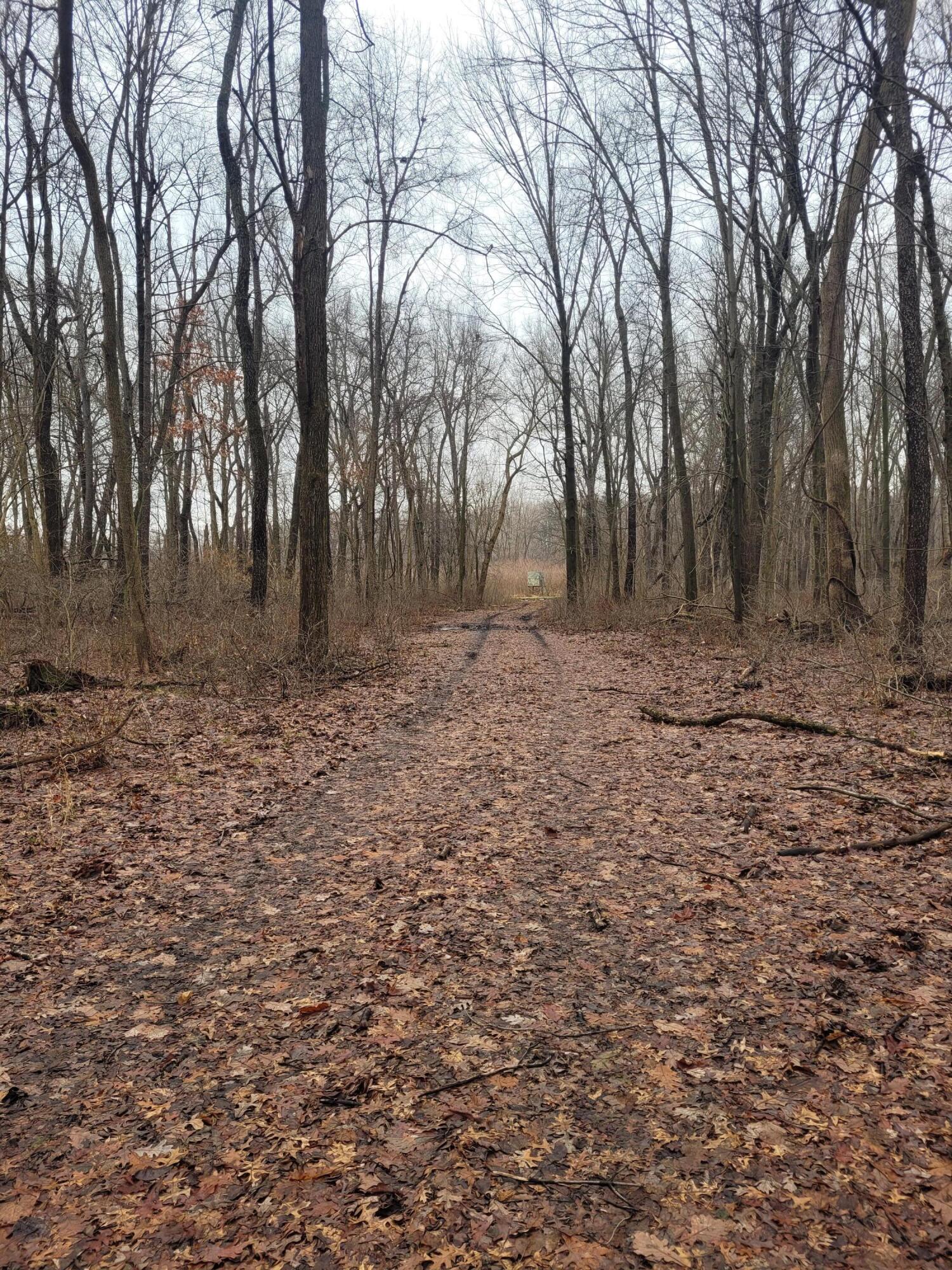 Coohon Road Colon, MI 49040 - Photo 5 of 26 20260107_145755