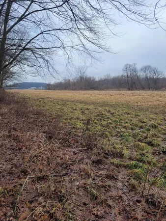 $599,000 | Coohon Road, Colon, MI 49040