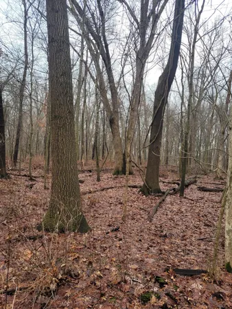 $599,000 | Coohon Road, Colon, MI 49040