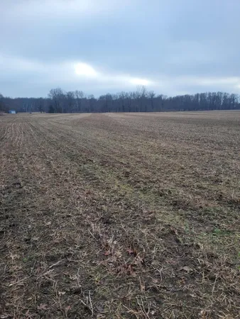 $599,000 | Coohon Road, Colon, MI 49040