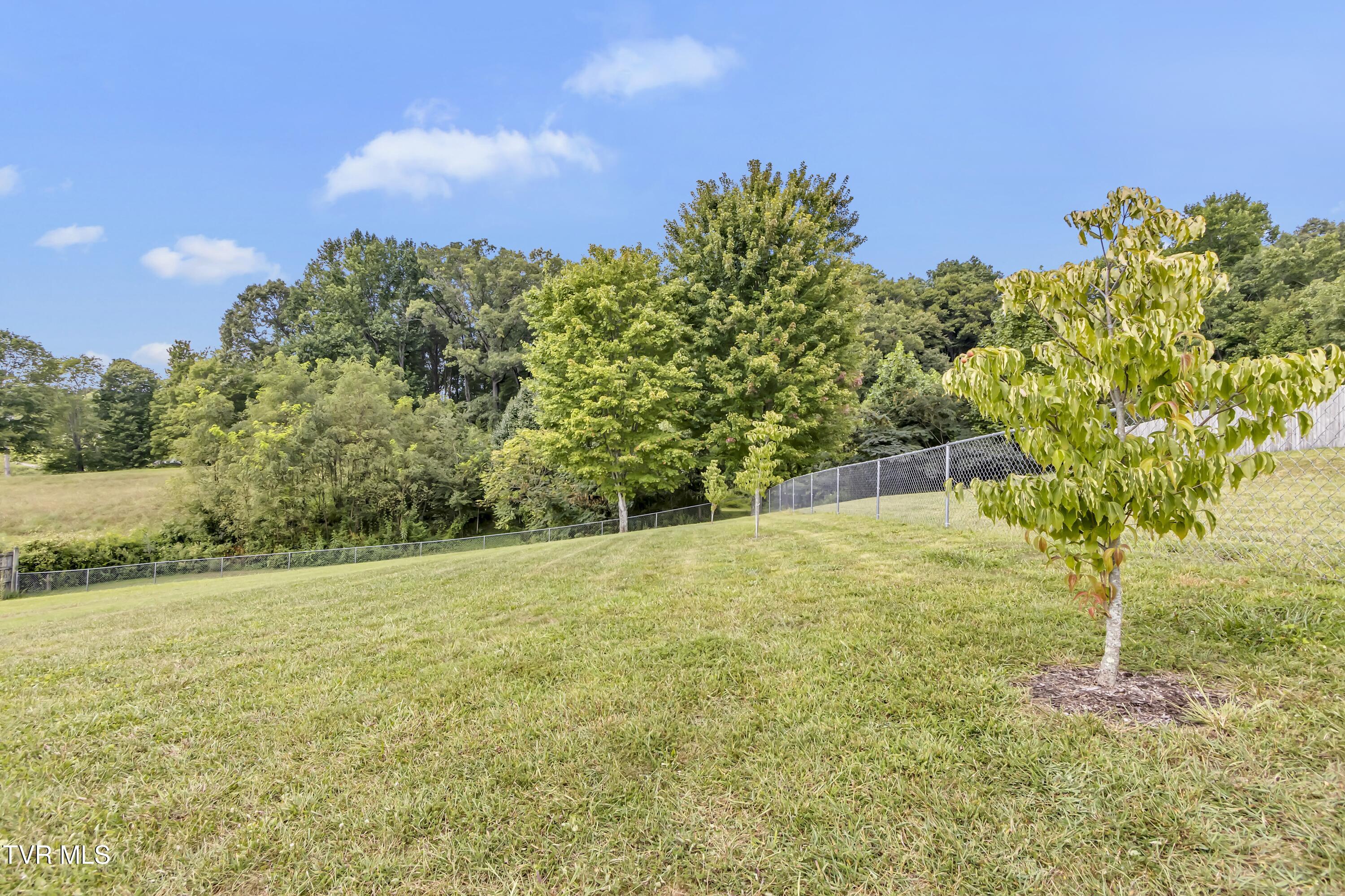 2514 Cherokee Road Johnson City, TN 37604 - Photo 46 of 47 IMG_9295