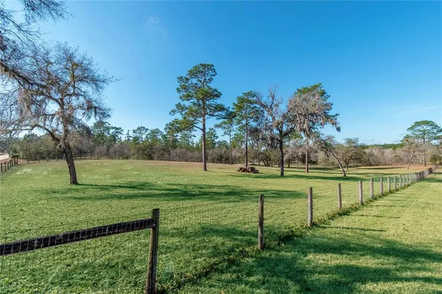 a view of a bench in the garden near a lake