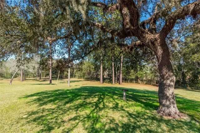 an aerial view of residential houses with outdoor space and trees