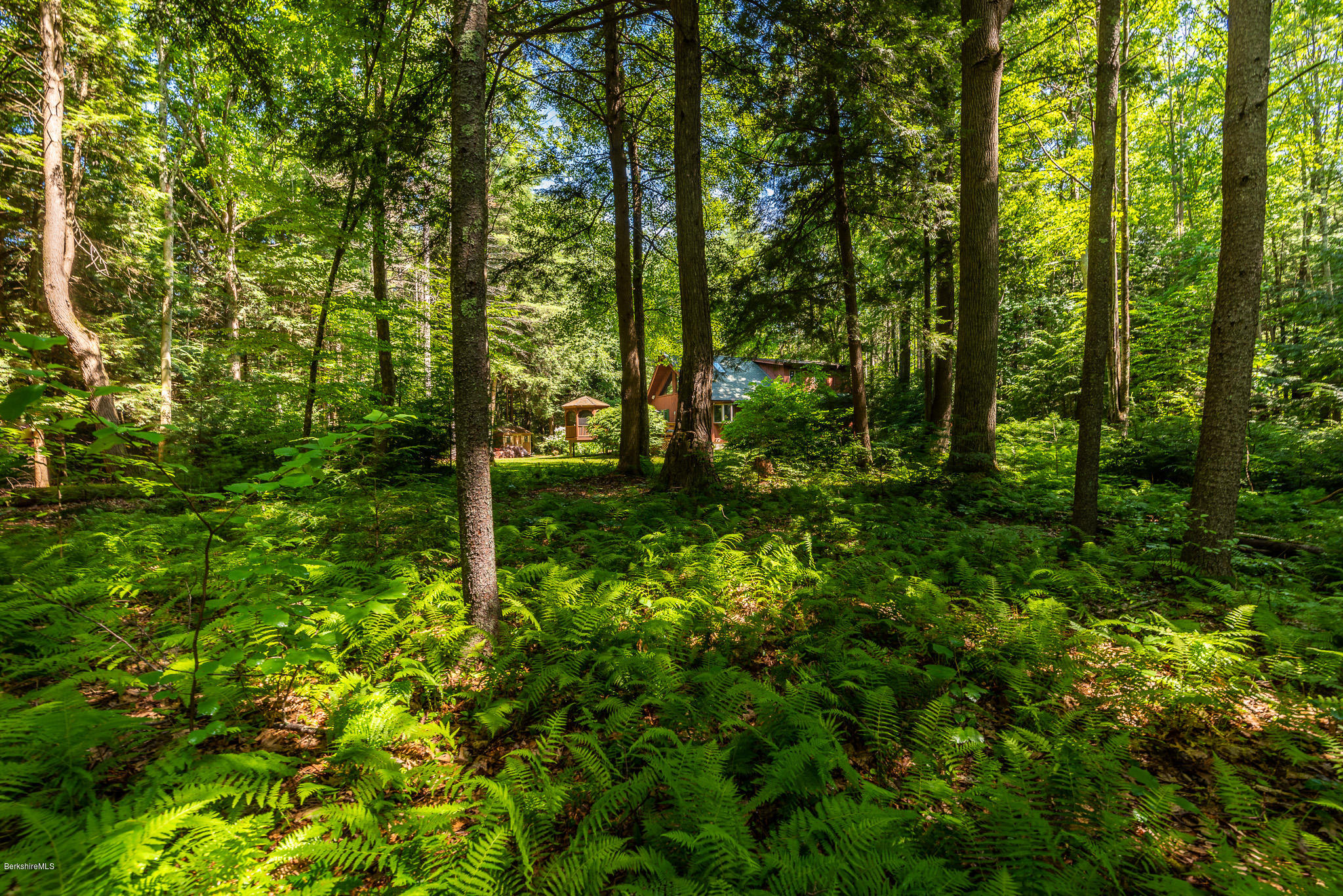 811 Salisbury Road Sheffield, MA 01257 - Photo 27 of 39 a lush green forest with lots of trees