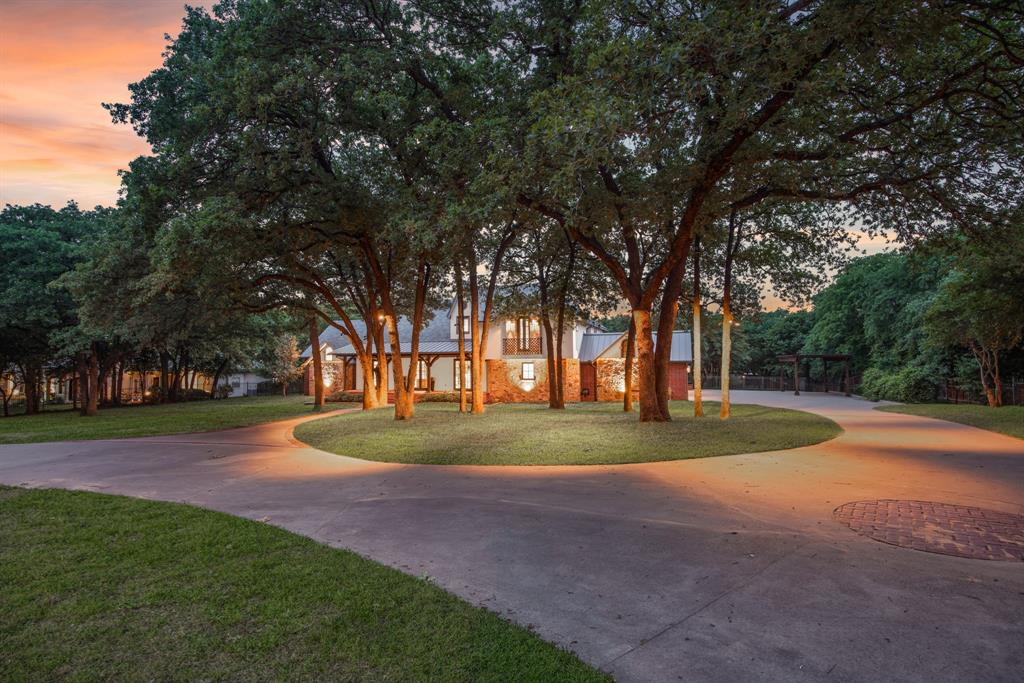 a big yard with large trees
