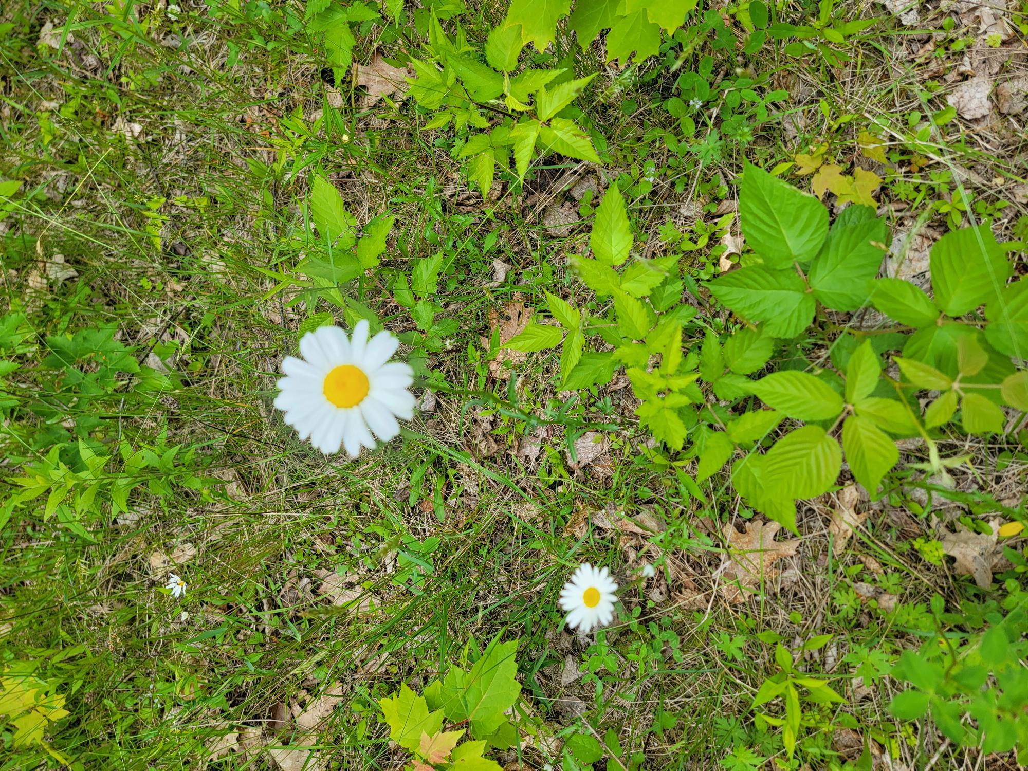 477 Hadley Mill Road Jackson, ME 04921 - Photo 11 of 32
