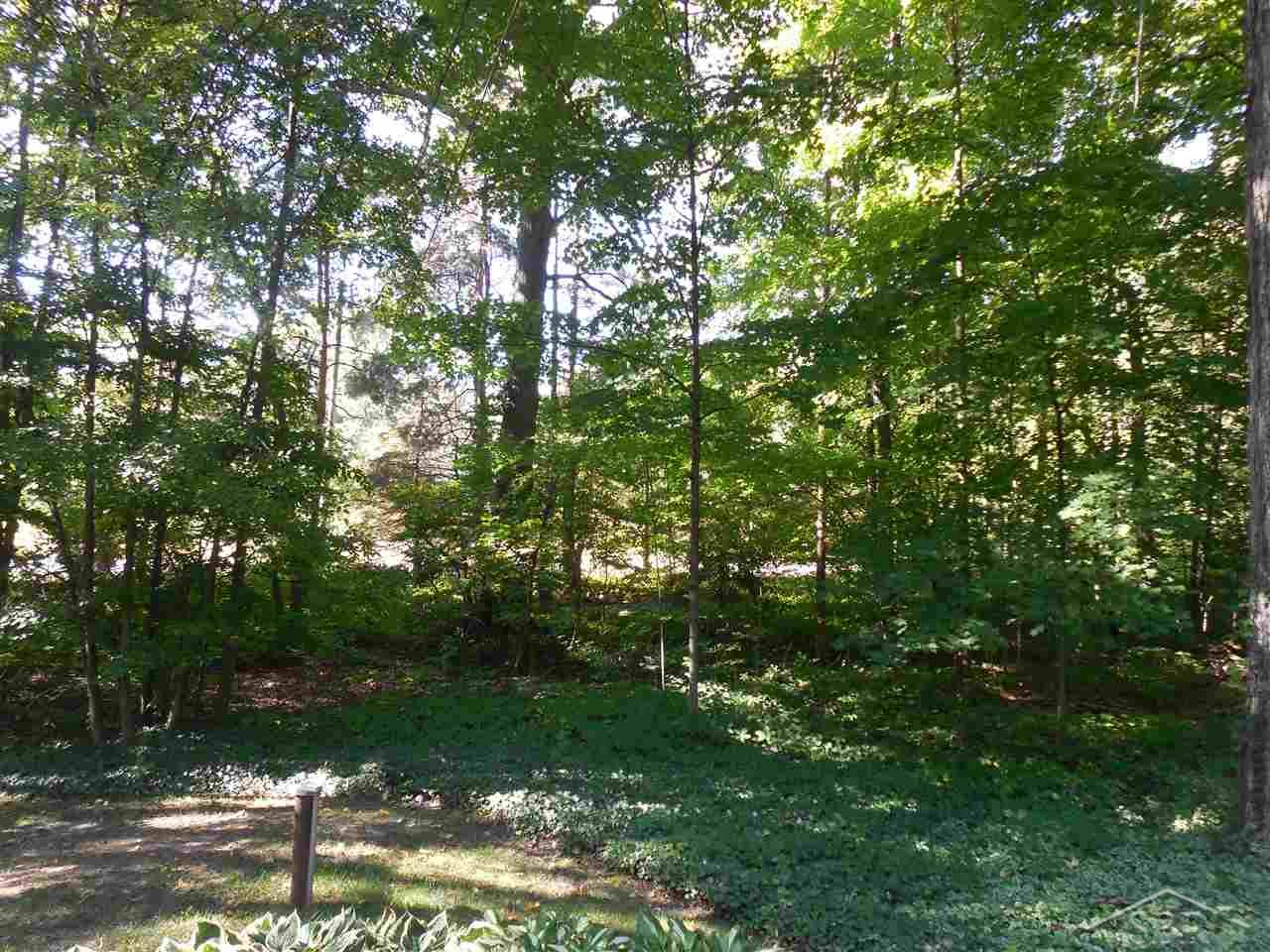 9041 Lange Road Birch Run, MI 48415 - Photo 53 of 75 31303330-52.JPG
