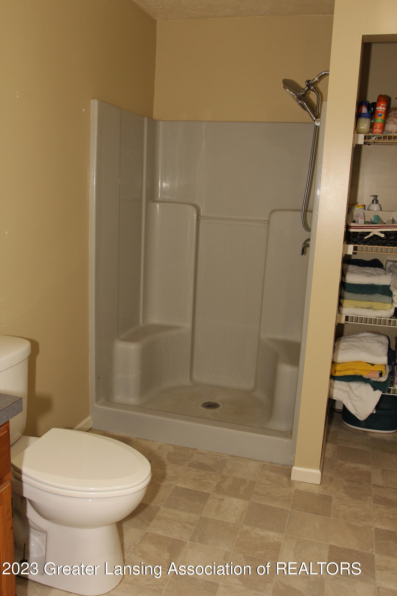 4100 South Williams Road Stockbridge, MI 49285 - Photo 35 of 71 Master Shower