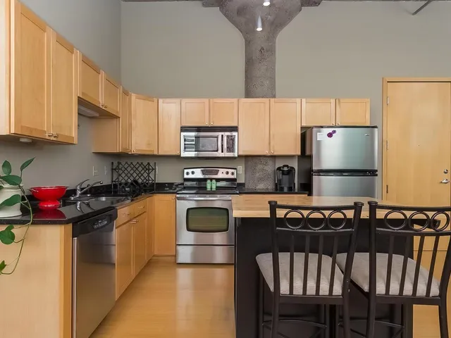 $1,695 | 521 South 7th Street, Unit 204, Minneapolis, MN 55415