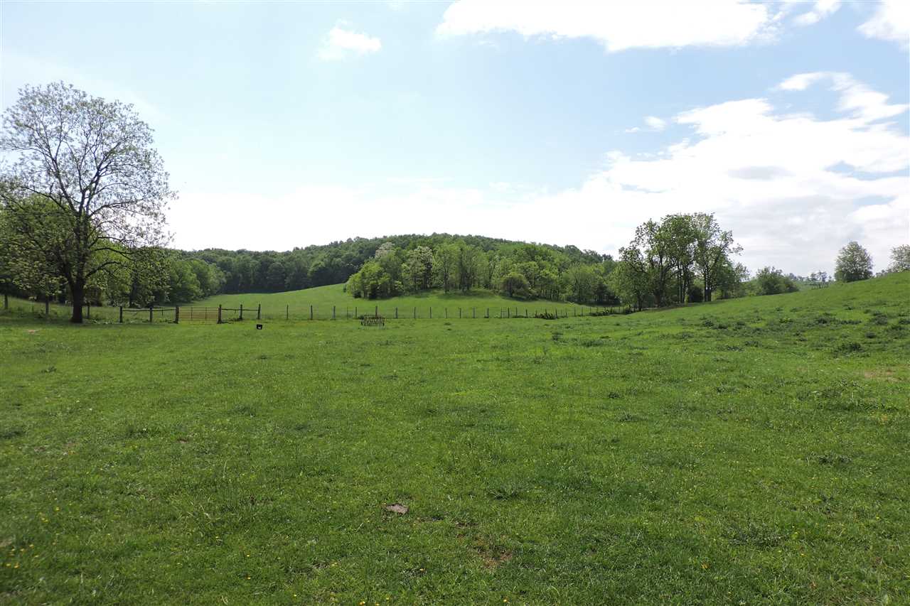 937 Cales Springs Road Middlebrook, VA 24459 - Photo 2 of 27 a view of a grassy field with trees