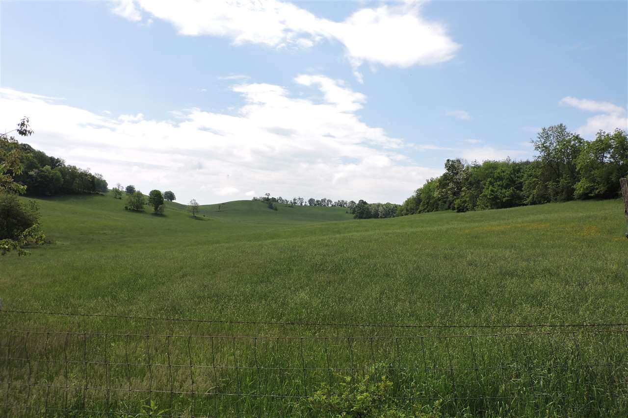 937 Cales Springs Road Middlebrook, VA 24459 - Photo 3 of 27 a view of a grassy field
