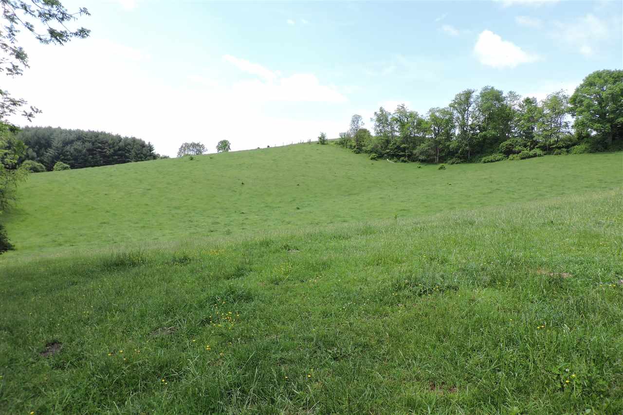937 Cales Springs Road Middlebrook, VA 24459 - Photo 4 of 27 a view of a grassy field with trees