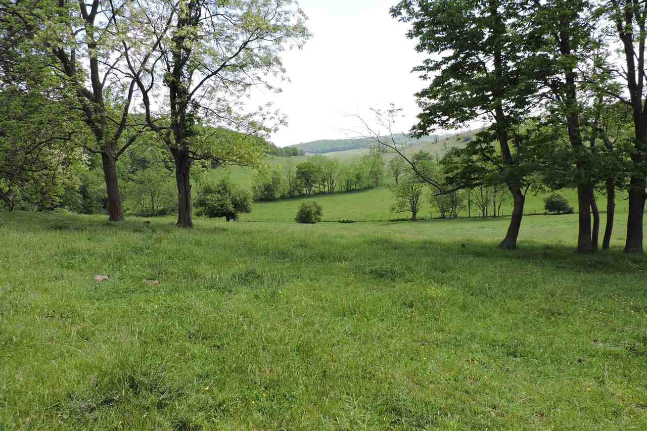 937 Cales Springs Road Middlebrook, VA 24459 - Photo 5 of 27 a view of grassy field with trees