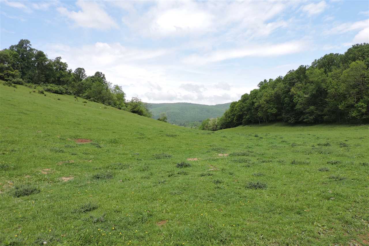 937 Cales Springs Road Middlebrook, VA 24459 - Photo 6 of 27 a view of a green field with wooden fence