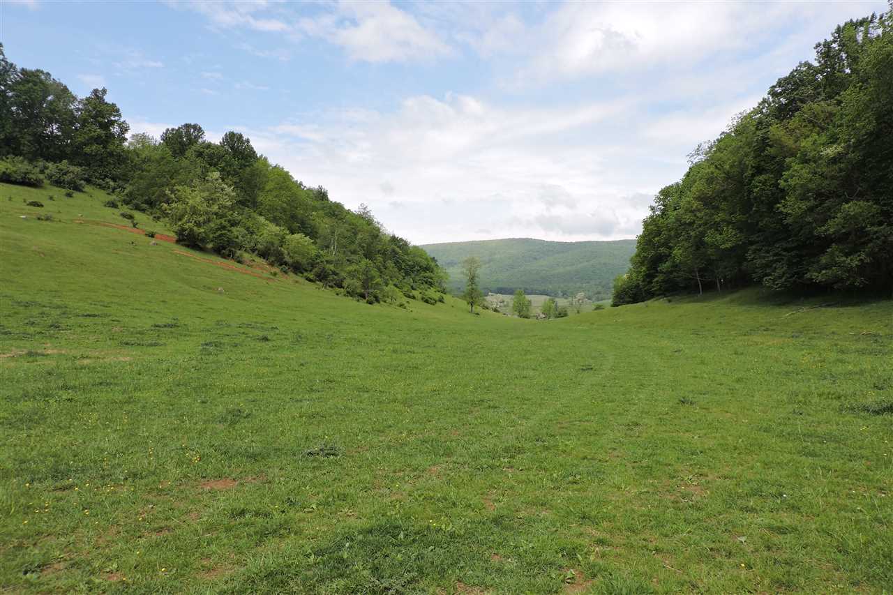 937 Cales Springs Road Middlebrook, VA 24459 - Photo 7 of 27 a view of a field with an trees
