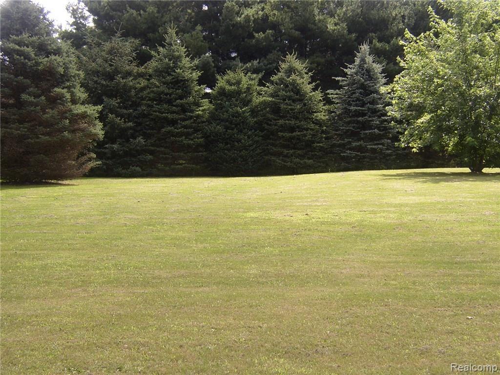 1448 North Maple Leaf Road Lapeer, MI 48446 - Photo 6 of 45 P7170007.JPG
