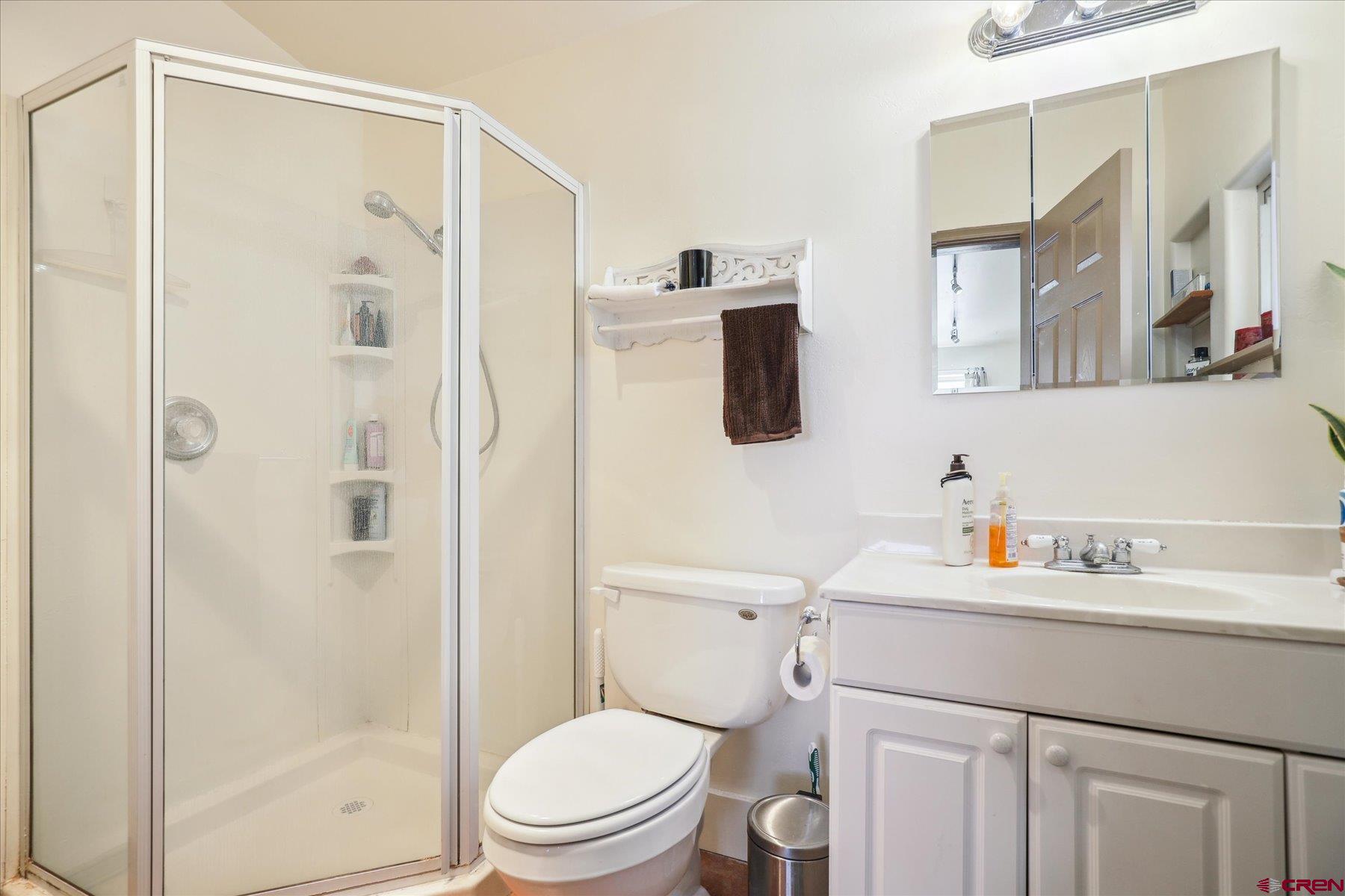 6815 County Road 203 Durango, CO 81301 - Photo 27 of 35 a bathroom with a sink a toilet and shower