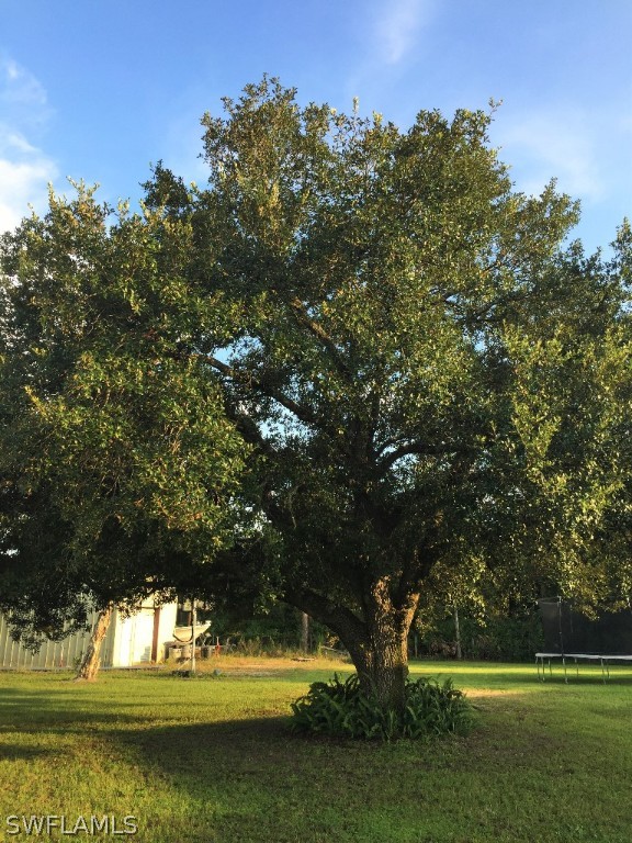 2640 Phillips Road LaBelle, FL 33935 - Photo 3 of 25 Gallery Image 3