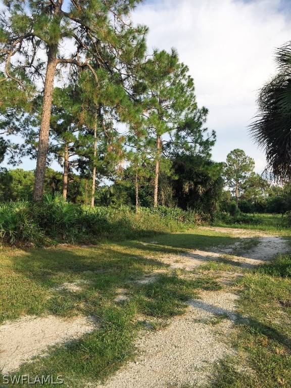 2640 Phillips Road LaBelle, FL 33935 - Photo 5 of 25 Gallery Image 5