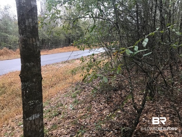23588 Old Weekley Road Bay Minette, AL 36507 - Photo 10 of 30 Front Edge of Property