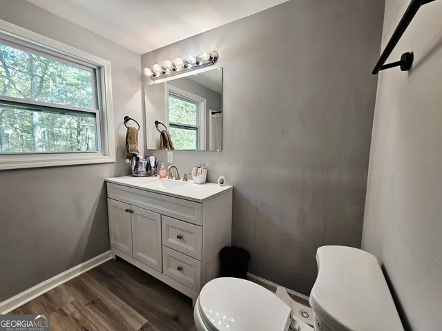 a bathroom with a toilet a sink a mirror a window and vanity