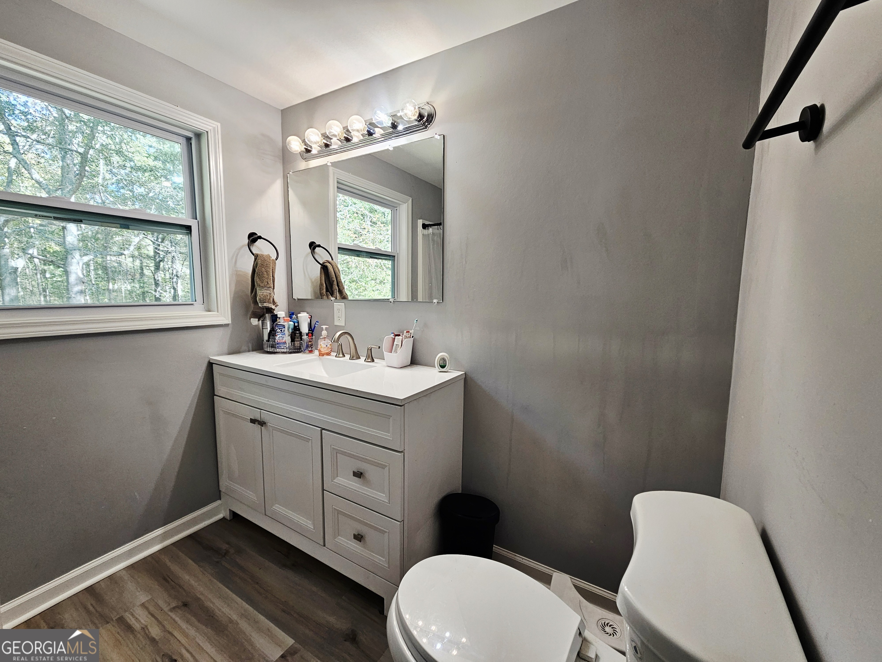 46 Gammon Road Carrollton, GA 30117 - Photo 11 of 17 a bathroom with a toilet a sink a mirror a window and vanity