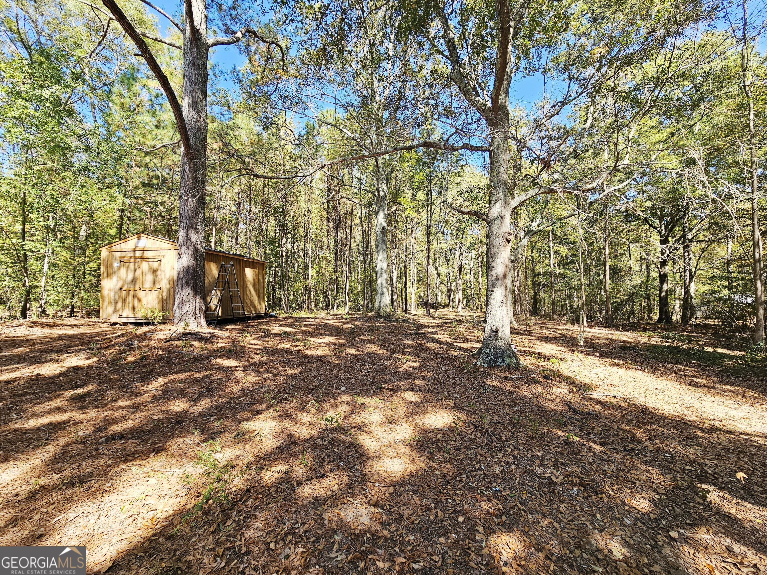 46 Gammon Road Carrollton, GA 30117 - Photo 13 of 17 a view of outdoor space and yard
