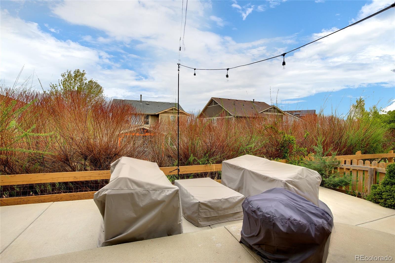 5527 Jaguar Way Highlands Ranch, CO 80130 - Photo 35 of 36