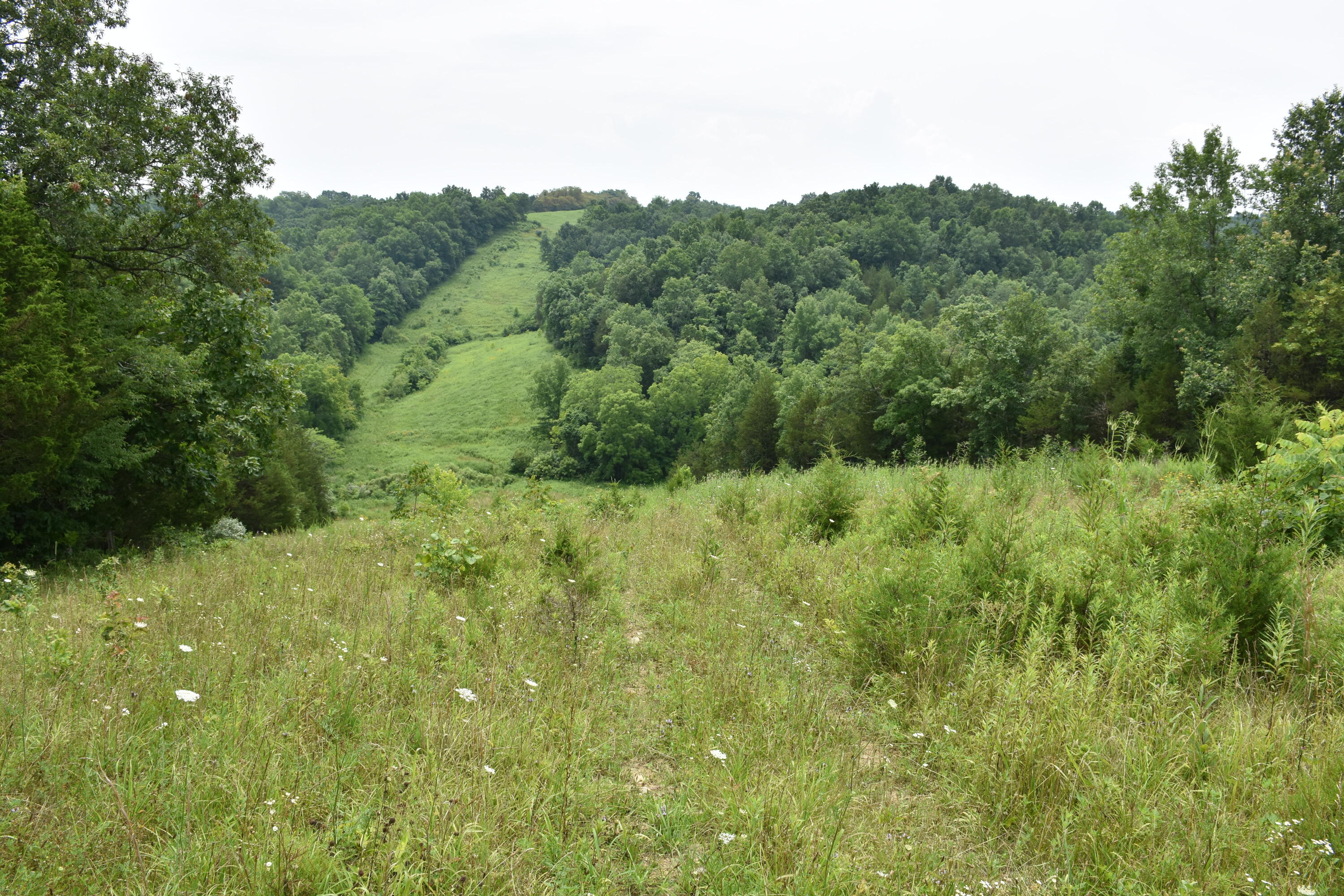 1540 Snag Creek Road Foster, KY 41043 - Photo 4 of 11