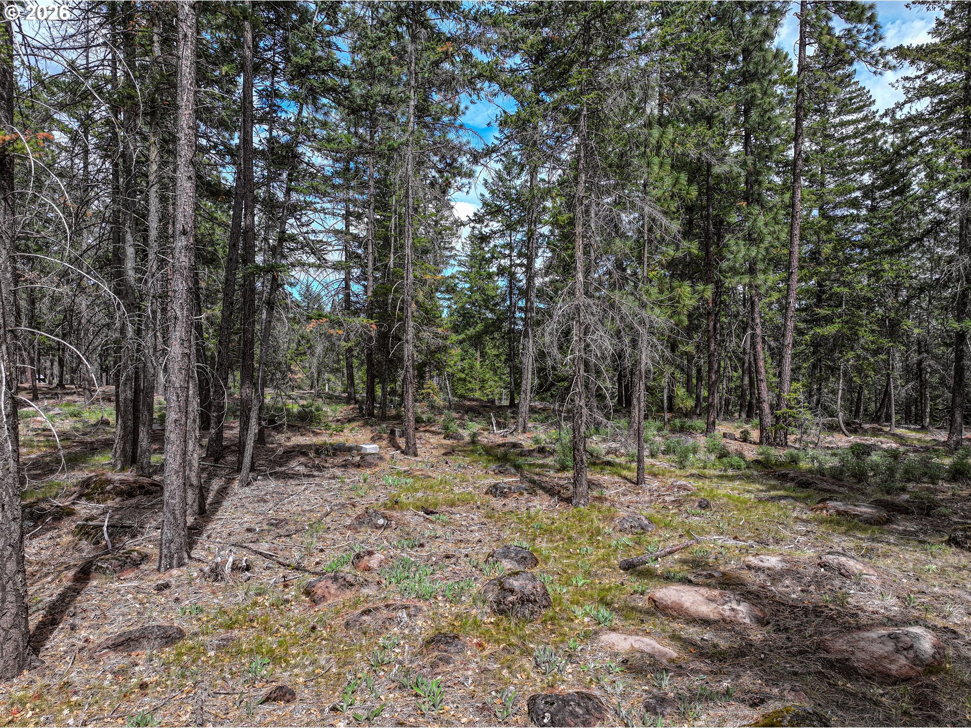 29 Weona Road Goldendale, WA 98620 - Photo 17 of 23 a view of outdoor space with trees all around