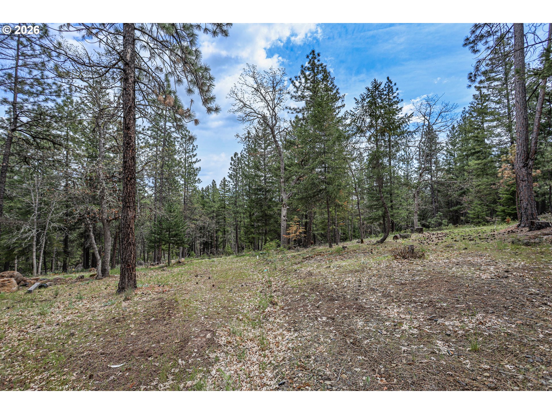 29 Weona Road Goldendale, WA 98620 - Photo 18 of 23 a view of outdoor space with trees