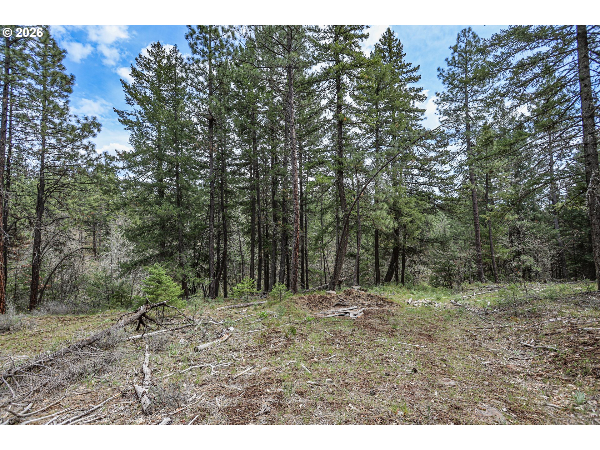 29 Weona Road Goldendale, WA 98620 - Photo 19 of 23 a view of outdoor space with trees all around